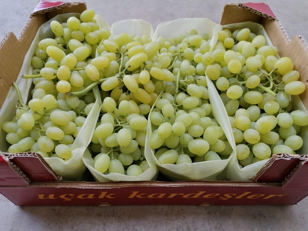 FreshPoint  Grapes, Green Seedless