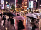 Extended rainfall causes vegetable price hikes in Japan - hortidaily.com
