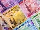 Uganda: West Nile farmers receive $300,000 from Dutch government - Vimarsana News