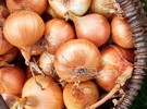 Ron Simon & Associates files nation's first onion salmonella lawsuit - Vimarsana News