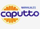 Uruguay: Green light for sale of Caputto - Vimarsana News