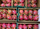 Consumers continue to show interest in exotic produce - Vimarsana News