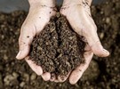 Ireland: Peat extraction for horticultural use allowed under new bill - Vimarsana News