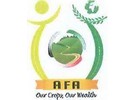 Kenyan horticulture exports up 6.4% - Vimarsana News