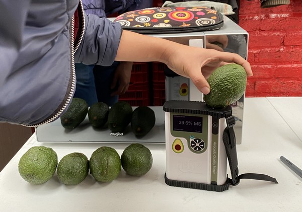Industry workshop in Spain showcases avocado meter - Vimarsana News