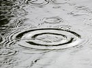 Major crop losses due to extreme rainfall in Horowhenua - Vimarsana News
