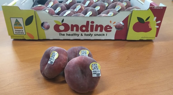 WA Farm Direct and the N&A Group Set to Refresh the Australian Summerfruit Category - Vimarsana News