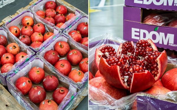 Israeli pomegranates expected to extend promotional season - Vimarsana News