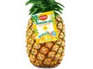 "The Grandisimo pineapple is the perfect ally for winter" - Vimarsana News