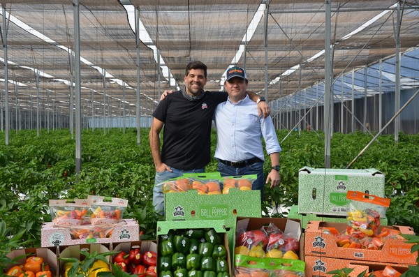 Sinaloa, a key vegetable growing region in winter and early spring - Vimarsana News