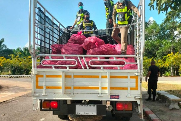 Millions of methamphetamine pills found in onion shipment - Vimarsana News