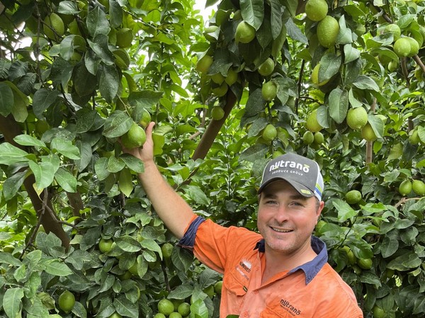 "We've had a lot of traction with our lemons into the export market over the years" - Vimarsana News
