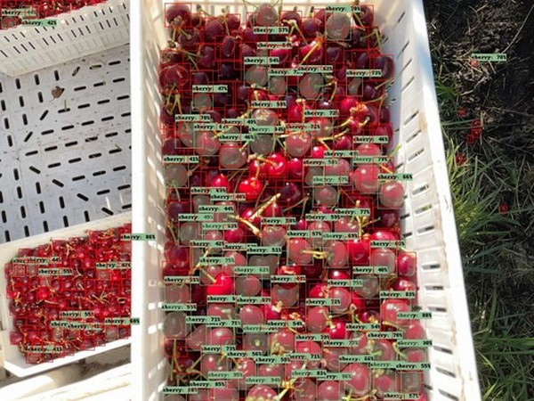 Scanning bins full of fruit down to fractions of a millimeter - Vimarsana News