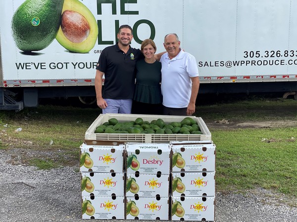 Avocado supplies strong during peak Dominican Republic season - Vimarsana News