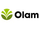 International food company Olam intends to sell off Lemoore tomato plant - Vimarsana News