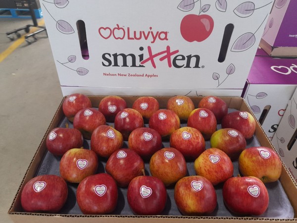 First apples packing that new season flavour punch - Vimarsana News