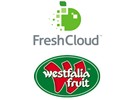 New agtech platform implemented to help fight food waste - Vimarsana News