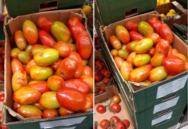 Maltese farmers upset after infected imported tomatoes found in supermarket - Vimarsana News