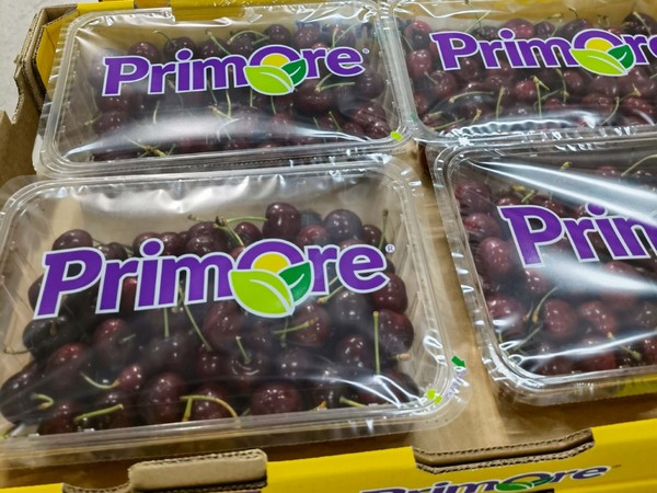 Automated packaging solutions for bulk and retail cherries help relieve labor shortages - Vimarsana News