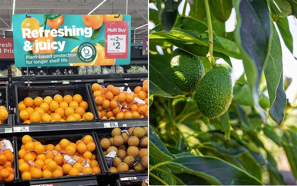 First UK retailer signs on to introduce plant-based protection - Vimarsana News