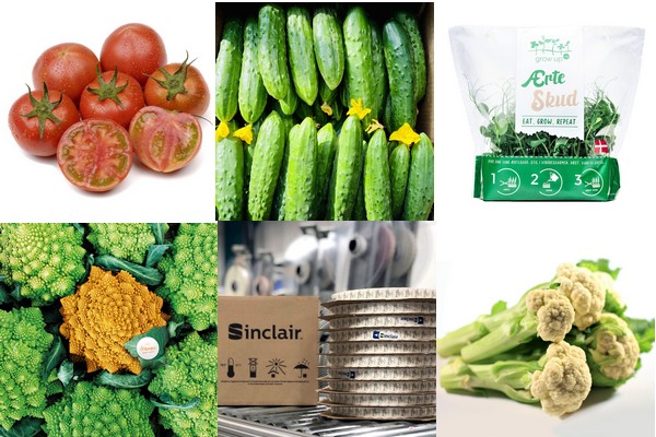 Fruit Logistica Innovation Award - 2022 nominees announced - Vimarsana News