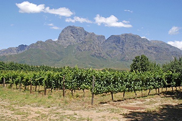 The impact of Russia's invasion on Western Cape agricultural trade - Vimarsana News