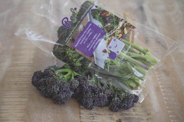 Bejo bowls and Purple Power, interesting concepts at Fruit Logistica - Vimarsana News