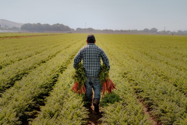 Bolthouse Farms establishes hub to strengthen environmental and social capabilities - Vimarsana News