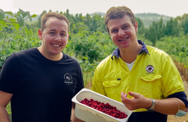 New fruit concentrate partnership set to showcase Tasmanian berry industry - Vimarsana News