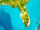DeSantis announces USDA approves disaster declaration request for agricultural producers impacted by freezing temperatures - Vimarsana News
