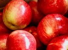 Purple Gala apple has won market acceptance - Vimarsana News