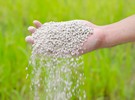 Russian fertilizer sent to Brazil despite sanctions - Vimarsana News