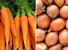 Boosting the nutritional bounty of carrots and onions - Vimarsana News