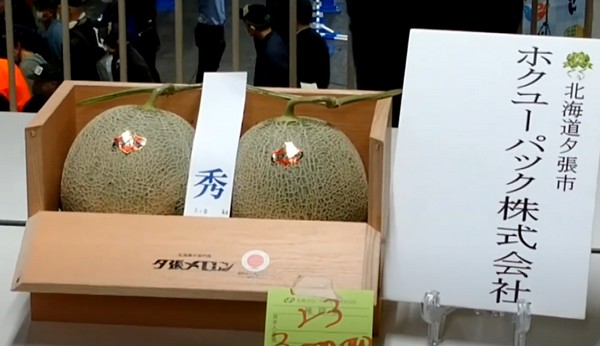 Pair of Hokkaido melons fetch 3 million yen at year's first auction