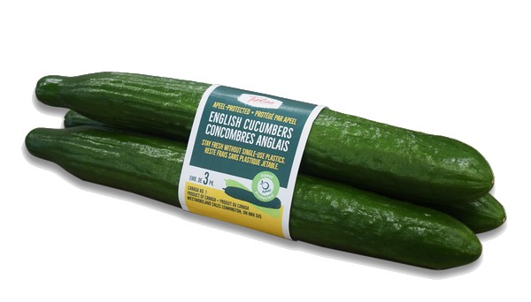 Trader Joe's Organic English Cucumber