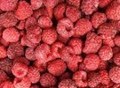 Canada: Alasko brand IQF Whole Raspberries recalled due to norovirus - Vimarsana News