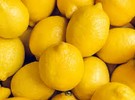 Yen Ben lemon harvest underway in Northland, New Zealand - Vimarsana News