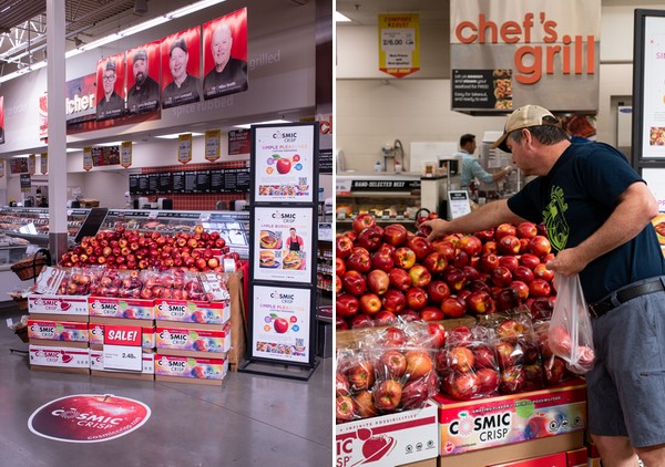 Cosmic Crisp: the largest commercialization of an apple variety globally - Vimarsana News