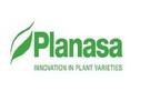 Planasa reports full year sales growth of 19% compared to last year - Vimarsana News