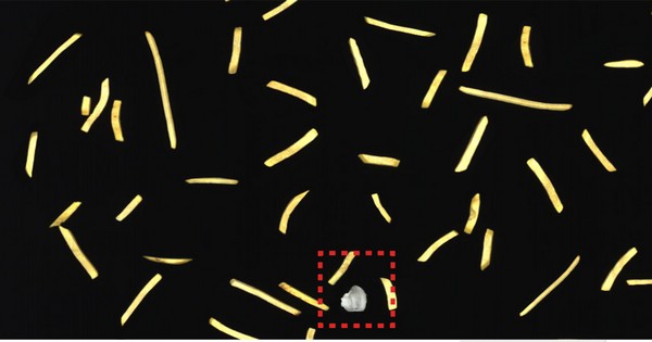 Software helps capture images of foreign material detected by sorter - Vimarsana News