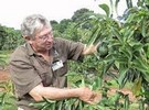 Micro-cloning powers South African avocado production - Vimarsana News
