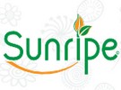 Sunripe ships first cargo of fresh avocados to China - Vimarsana News