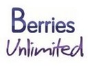 New honeyberry/haskap superfruit announced: Honey Champion - Vimarsana News