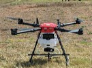 Drones target fruit tree pests in Hawaiʻi - Vimarsana News