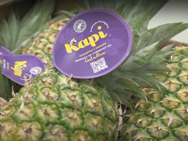 Tropical fruit brand looks to make major headway in U.S. - Vimarsana News