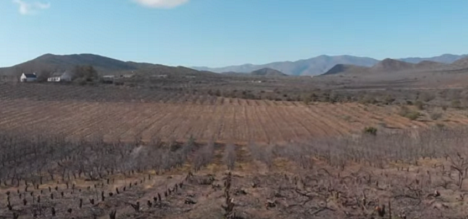 Changing course of climate change creates co-benefits for fruit farmers - Vimarsana News