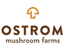 Washington State mushroom producer taken to court for firing most of female workforce - Vimarsana News