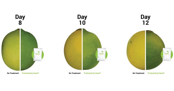 Lime growers turn to ag tech to meet consumer demands for greener limes - Vimarsana News