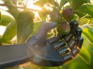 Chinese robotics industry still advancing - Vimarsana News