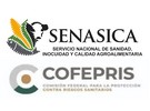 FDA and Mexican counterparts report progress in food safety at Second Annual Partnership Meeting - Vimarsana News